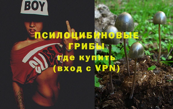 марихуана Нязепетровск