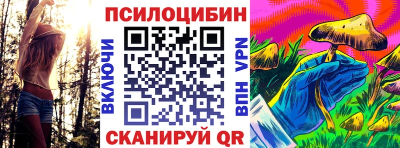 Галлюциногенные грибы мухоморы где купить наркотик Дорогобуж